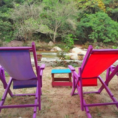 Casa Rio Cuale And River Retreat プエルトバラータ エクステリア 写真