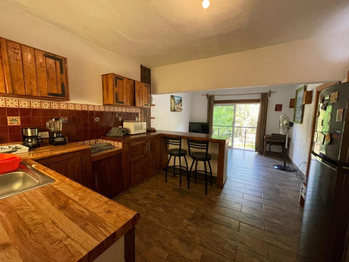 Casa Rio Cuale And River Retreat プエルトバラータ エクステリア 写真