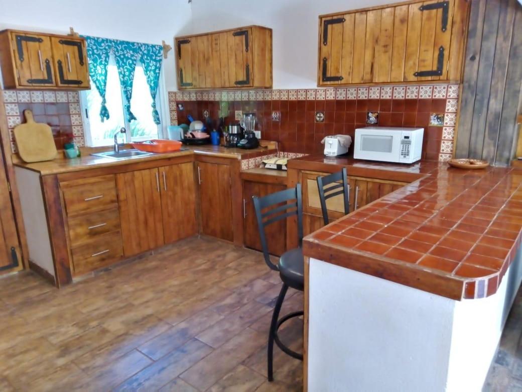Casa Rio Cuale And River Retreat プエルトバラータ エクステリア 写真