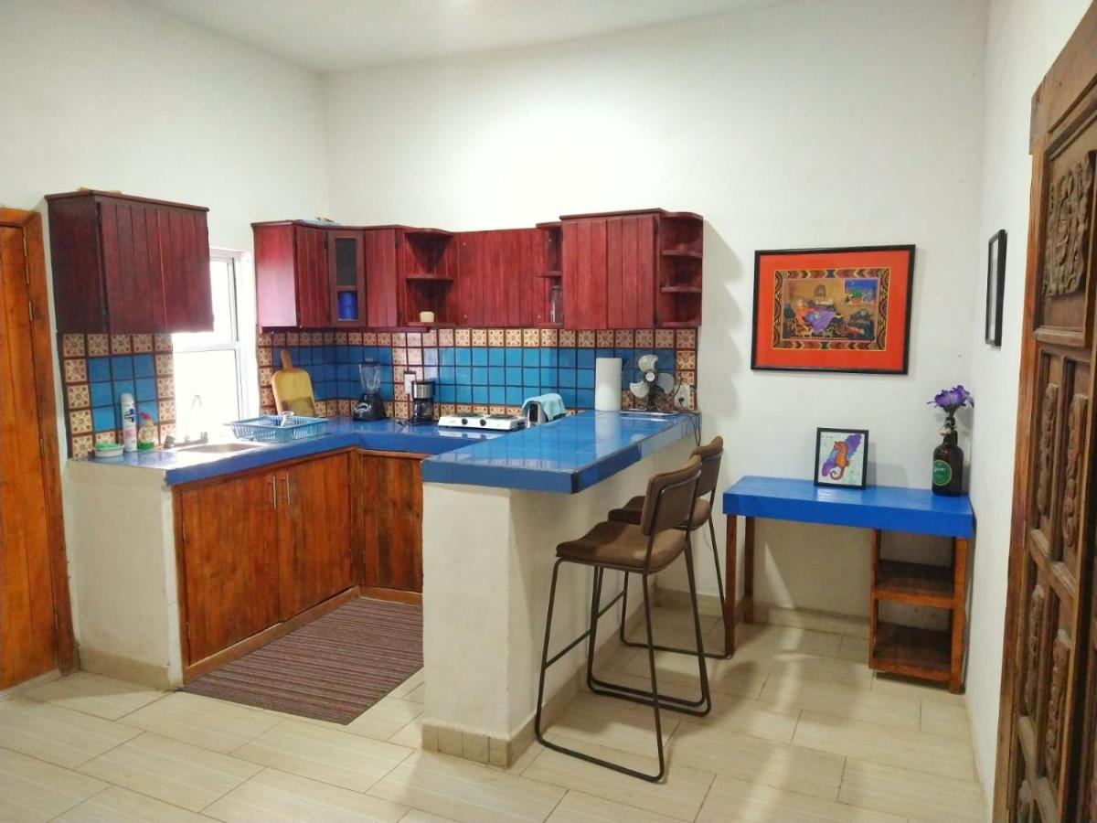 Casa Rio Cuale And River Retreat プエルトバラータ エクステリア 写真