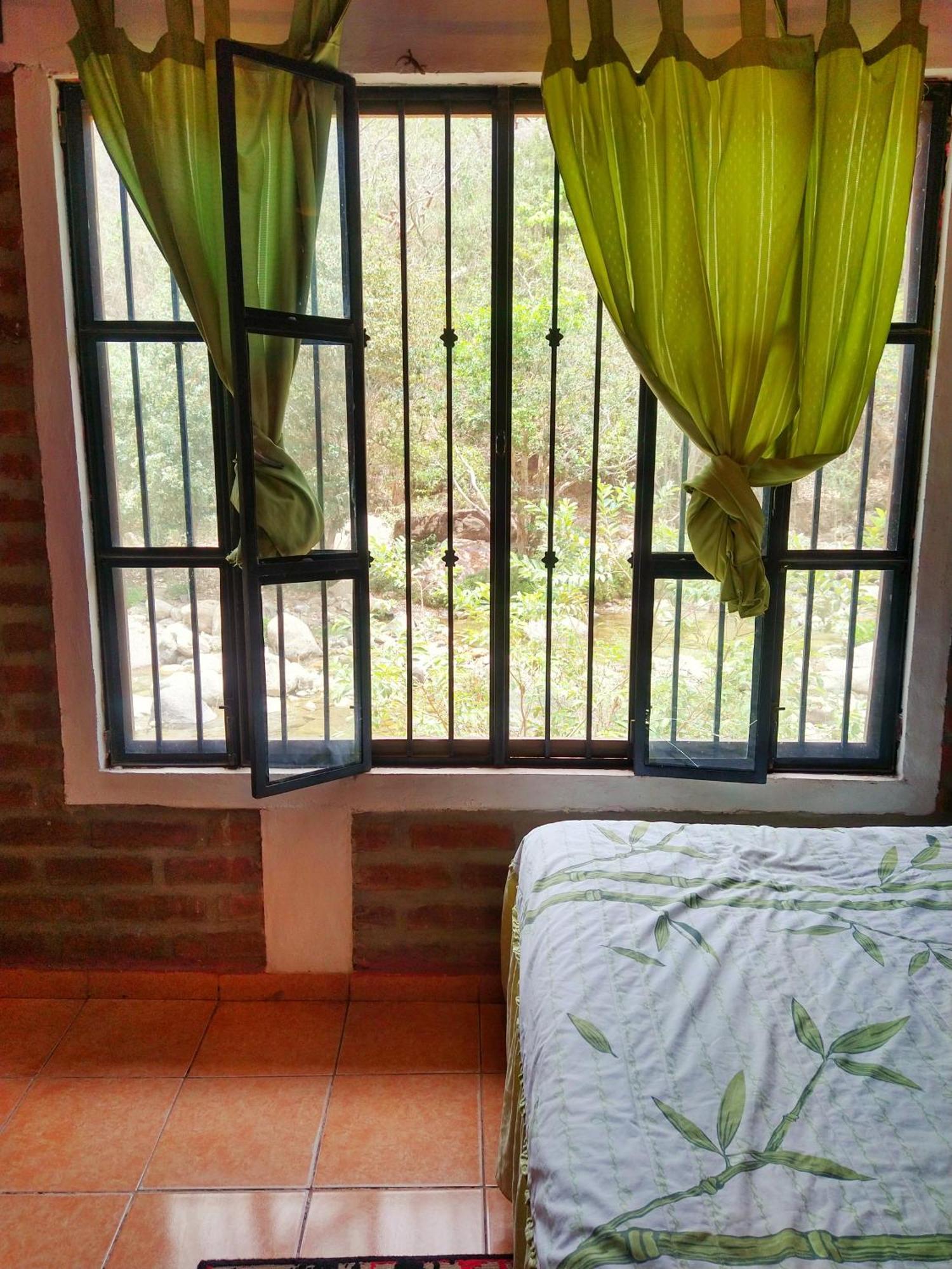 Casa Rio Cuale And River Retreat プエルトバラータ 部屋 写真