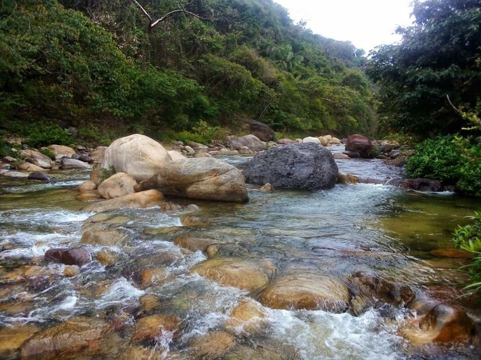 Casa Rio Cuale And River Retreat プエルトバラータ エクステリア 写真