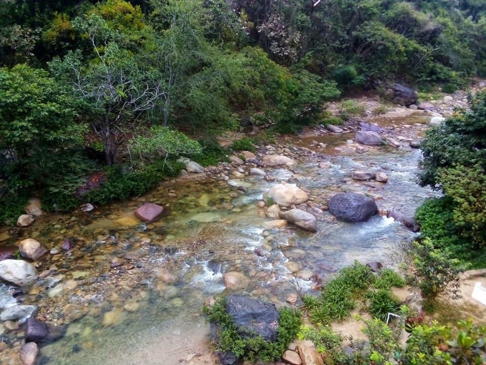 Casa Rio Cuale And River Retreat プエルトバラータ エクステリア 写真