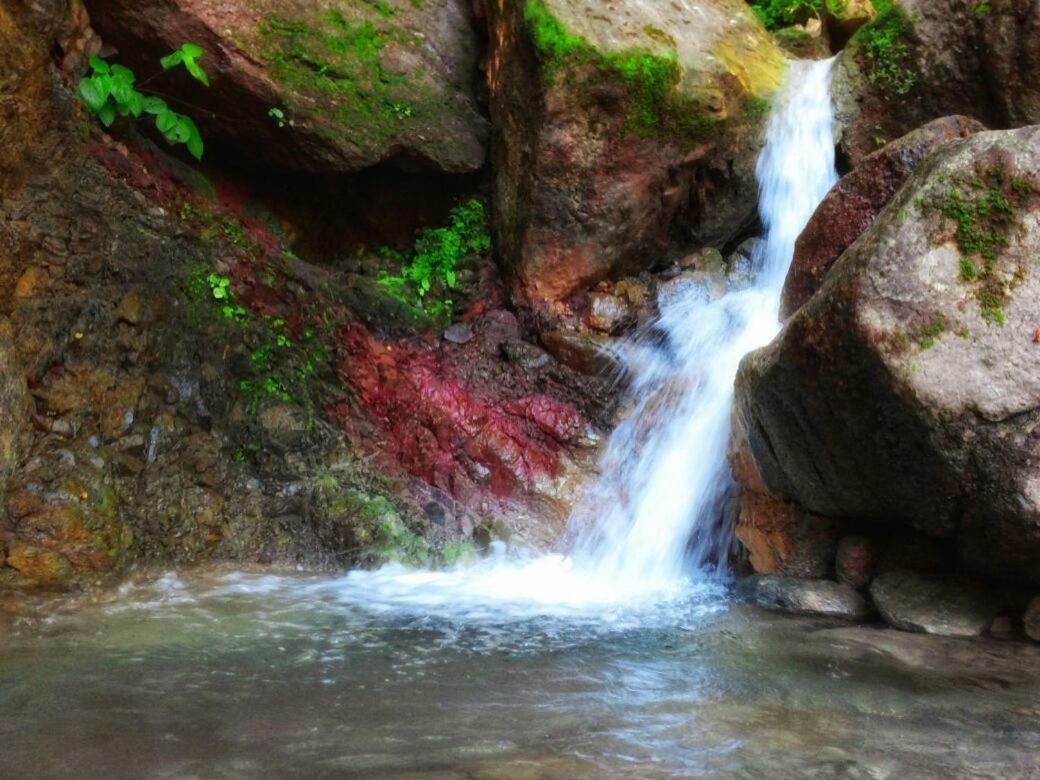 Casa Rio Cuale And River Retreat プエルトバラータ エクステリア 写真